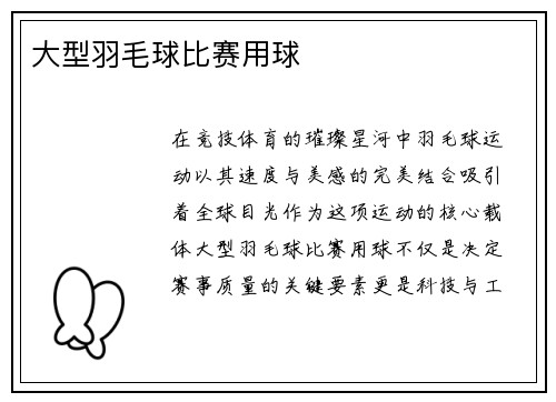 大型羽毛球比赛用球